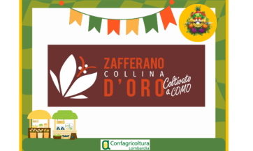 Conosciamo l' azienda agricola AZIENDA AGRICOLA COLLINA D'ORO