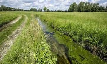 SRD04: INVESTIMENTI NON PRODUTTIVI AGRICOLI CON FINALITA&rsquo; AMBIENTALE