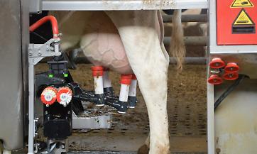 Latte: trovato l'accordo sul prezzo