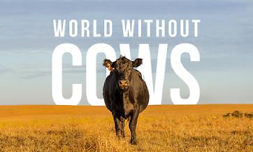 La locandina del film