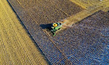 PAC 2023-2027: Regione Lombardia apre il bando 2026 per gli interventi agroambientali SRA