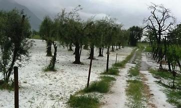 Maltempo, il presidente Crotti richiama l’attenzione delle istituzioni sui gravi fenomeni metereologici che stanno devastando la regione