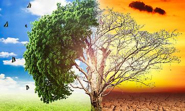 Modfabe, un progetto per dare voce agli agricoltori