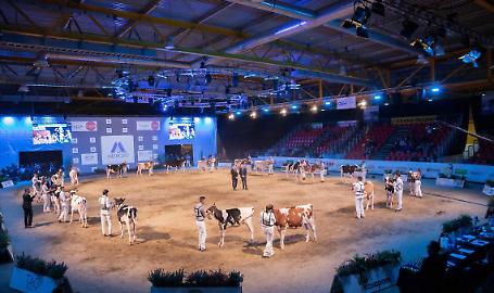 Dal 27 al 29 novembre si terr&agrave; l&rsquo;80^ edizione delle Rassegne zootecniche internazionali di Cremona