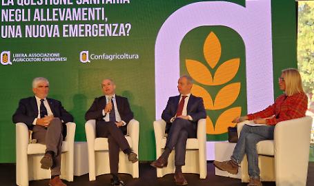 Antonio Boselli, Giovanni Filippini, Francesco Maraschi, Micaela Cappellini