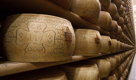 Forme di grana in stagionatura