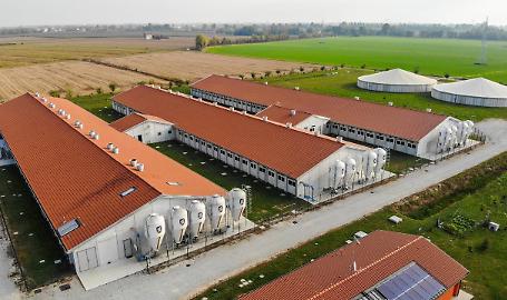 Arpa Lombardia: incontro con le aziende zootecniche di Mantova e Cremona