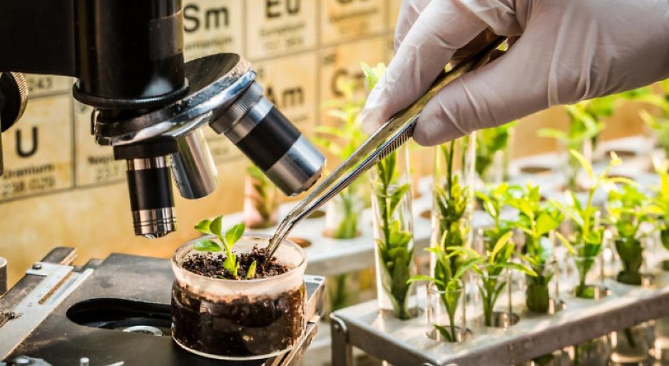 Nuove Tecniche Genomiche, Confagricoltura Lombardia accoglie con favore il voto della Commissione Ambiente