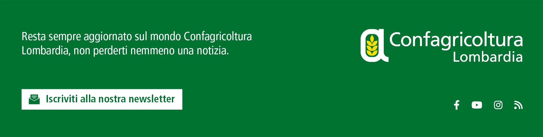 1757499907739.jpg